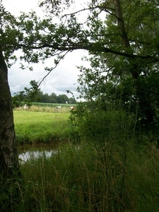 55-