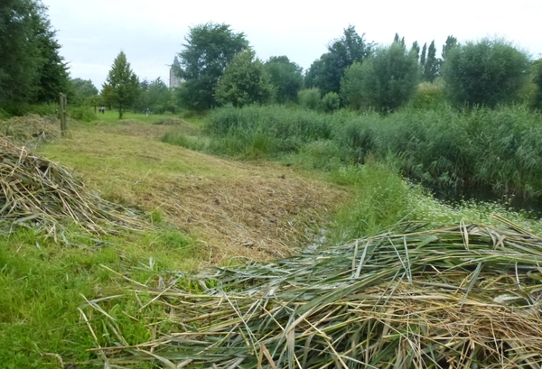 2012-07-14 Oudenaarde 002