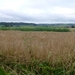 2012-07-14 Oudenaarde 006