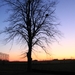 Winterlandschap (3)