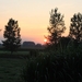 De tuin