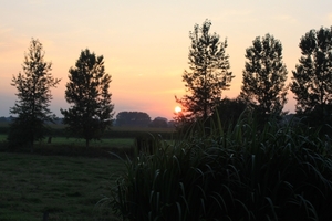De tuin