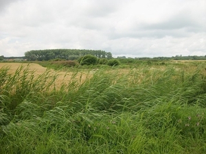 28-