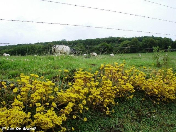 marche CNB valle hermeton wandeling