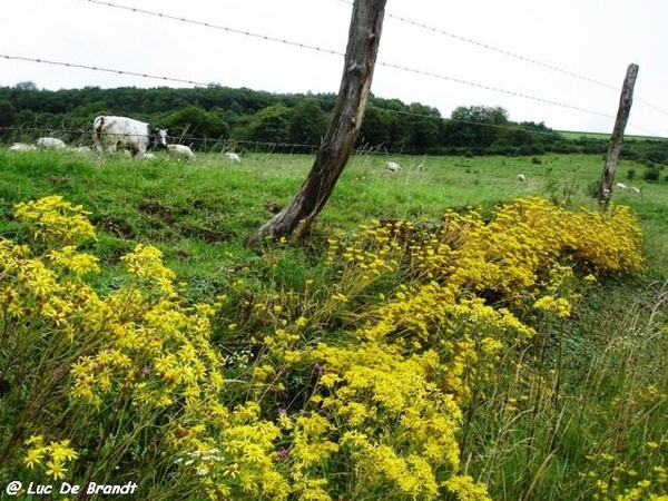 marche CNB valle hermeton wandeling