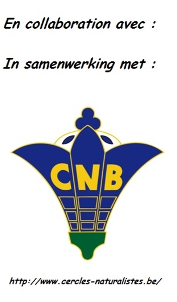 marche CNB valle hermeton wandeling