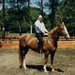 ik te paard
