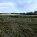 2012-07-17 Moorsel 013