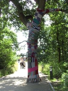 BILD0592