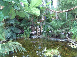 BILD0598
