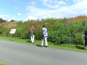 BILD0604