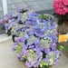 BILD0620