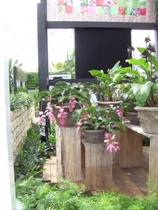 BILD0624