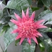 BILD0629