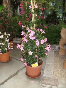 BILD0642