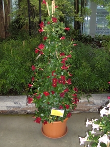 BILD0643