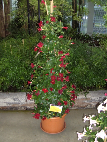BILD0643
