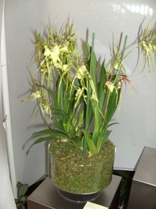 BILD0645