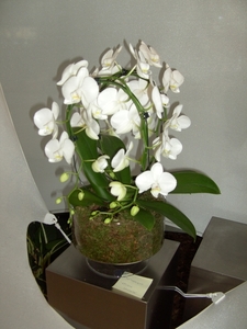 BILD0647