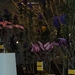 BILD0672