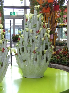 BILD0680
