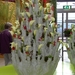 BILD0681