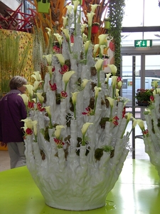 BILD0681