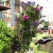 BILD0687