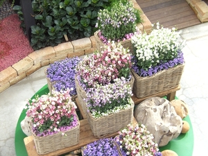 BILD0697