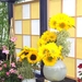 BILD0701