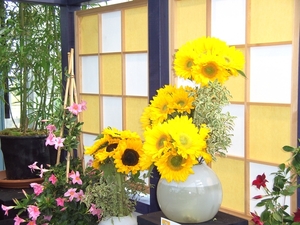 BILD0701