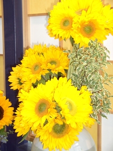 BILD0702