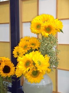 BILD0703