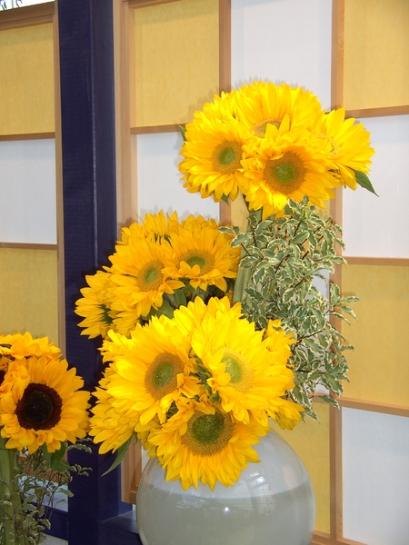 BILD0703