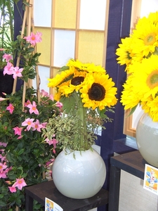 BILD0704
