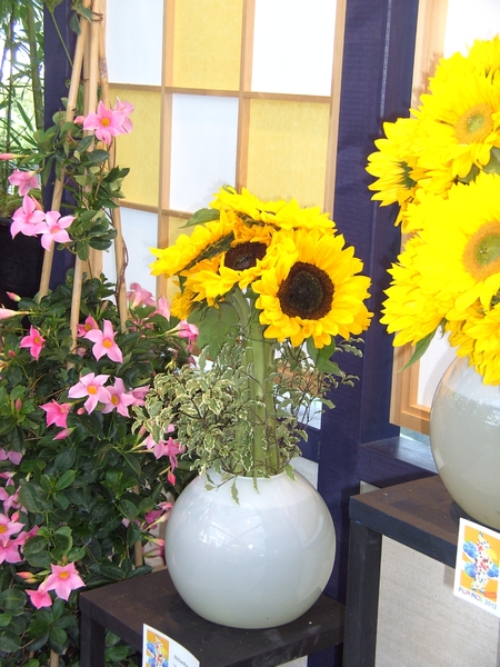 BILD0704