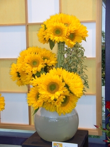 BILD0706