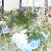 BILD0707