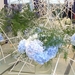 BILD0711