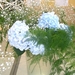 BILD0716
