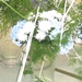 BILD0718
