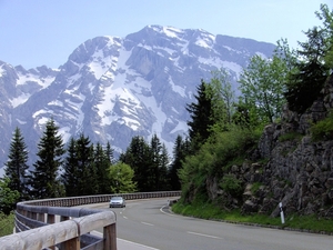 BILD0525