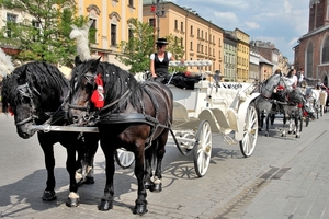 Krakau, de beroemde koetsen