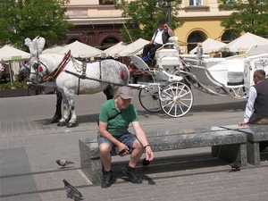 Krakau,  koetsier wacht op vermoeide toerist