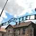 Auschwitz, Grootste vernietigingskamp in Europa WO II