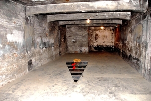 Auschwitz, Gaskamer