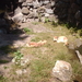 zoo olmen 001