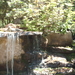 zoo olmen 012