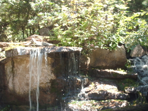 zoo olmen 012