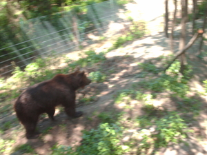 zoo olmen 015